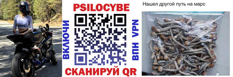 Купить  Саратов  Псилоцибиновые грибы Magic Shrooms 